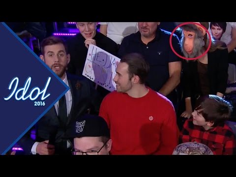 Här stjäl en apa showen i Idol Sverige 2016 (TV4)