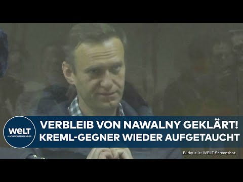 ALEXEJ NAWALNY: Kreml-Gegner wieder aufgetaucht! Kritiker von Wladimir Putin ist in Strafkolonie