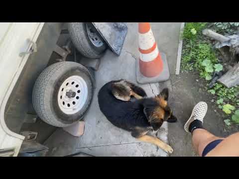 Cummins Onan P4500i Generator Starting Problem’s