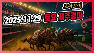 2025년 11월 29일 토요 제주경마 전체경주 모아보기