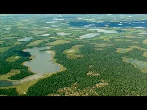 Almir Sater - Luzeiro / Pantanal Mato-Grossense