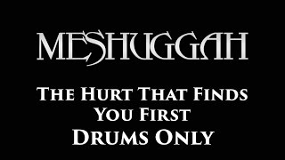Meshuggah The Hurt That Finds You First DRUMS ONLY