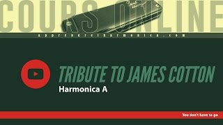 Tribute to James Cotton - You don&#39;t have to go - Harmonica A
