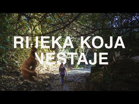 Ribnica (Lokalni Hodači)