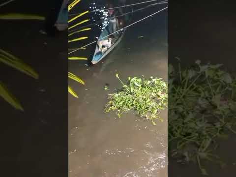 El Río Matiyure, inunda el pueblo de Achaguas, estado Apure. Venezuela.                #SOSAchaguas