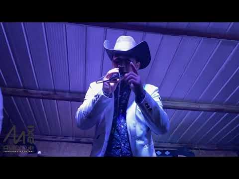 peligro de extinción temerarios del sur en vivo caicaen