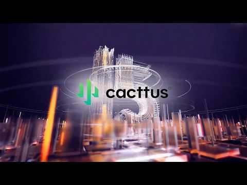 CACTTUS celebrates15 years of company experience in technology.