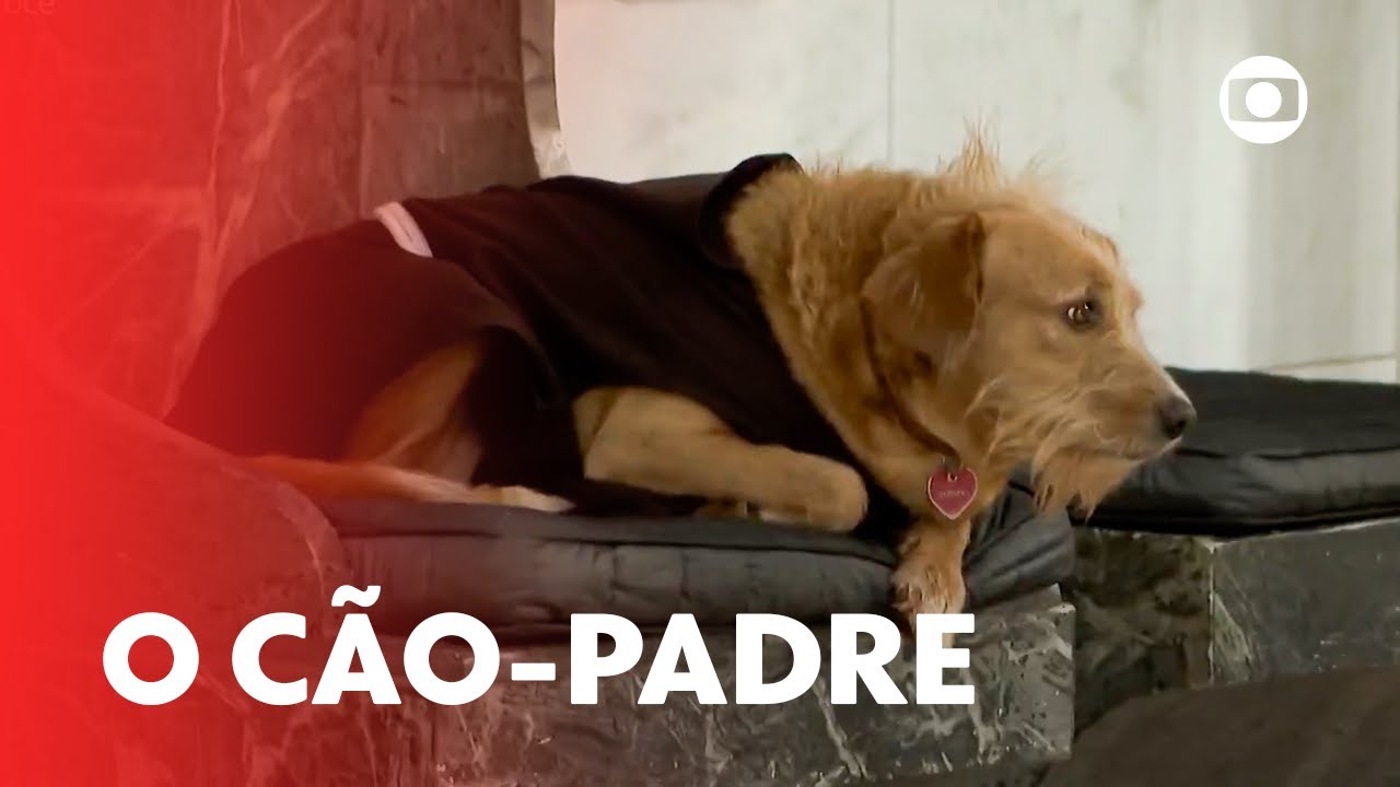 Cão-padre faz missa junto com seu tutor em Uberlândia! | Mais Você | TV Globo