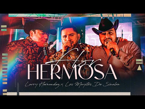 Larry Hernandez X Los Mayitos De Sinaloa - Flor Hermosa (En Vivo)
