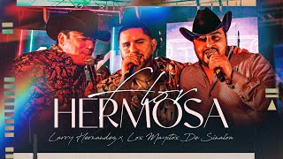 Flor Hermosa (En Vivo) Lyrics English Translation