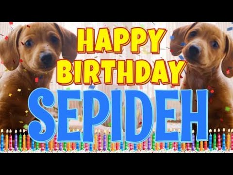 Happy Birthday Sepideh! ( Funny Talking Dogs ) What Is Free On My Birthday