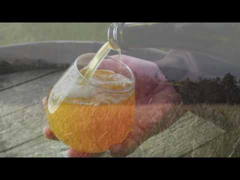 The Eleventh Order Brewery