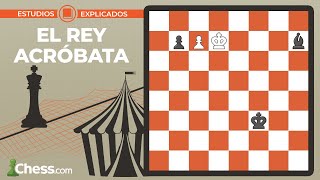 ¡El rey acróbata! | Estudios artísticos de ajedrez