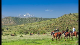 Borana Conservancy - Kenya : Overview