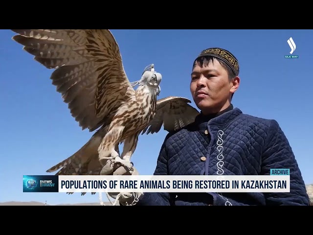 Kazakistan'da nadir hayvan popülasyonları restore ediliyor