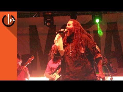 Gomba Jahbari - Acho Puñeta | Halloweed