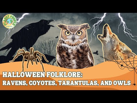 29. Halloween Folklore: The Spooky Spoken History of Ravens, Coyotes, Tarantulas, and Owls