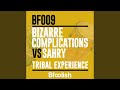 Tribal Experience (Original Mix)