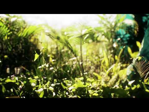 Teste de qualidade de transmissão de eventos ao vivo | DJ Paulinho Cerqueira (dezembro de 2025)