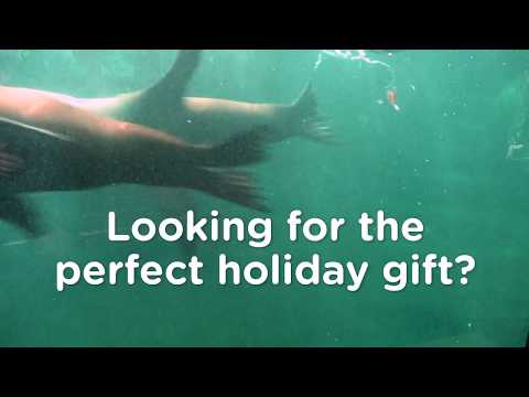 Gift the gift of a Seneca Park Zoo membership