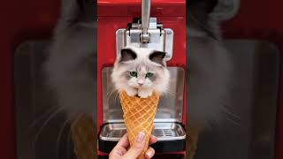 🍦 Ice Cream Cats 🐱 | ASMR Satisfying & Relaxing #shorts #cat #aiasmr
