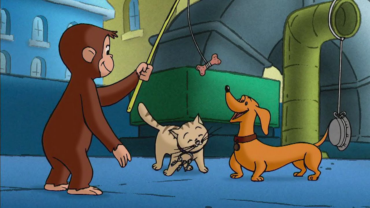 A Banda de Animais do George 🐵 George, o Curioso 🐵 Desenhos Animados