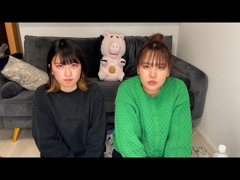 フラミンゴについての好奇心