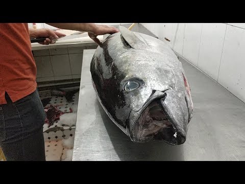 $2500 BLUEFIN TUNA CUTTING at wholesale fish market of Vietnam