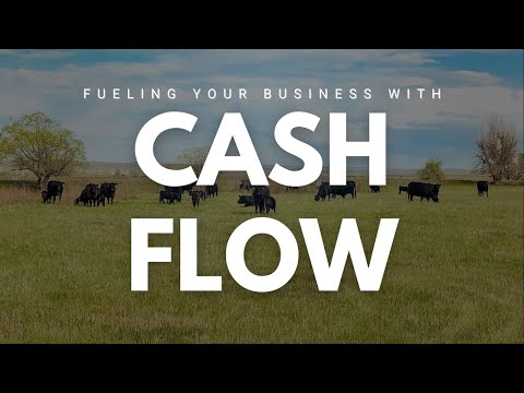 Cash Flow for Ranchers | How to Manage Sales, Expenses & Timing