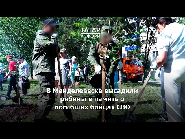 В Менделеевске высадили рябины в память о погибших бойцах СВО