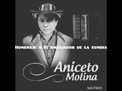 Aniceto molina mix - Homenaje al tigre sabanero - By máster Dj - cumbia mix