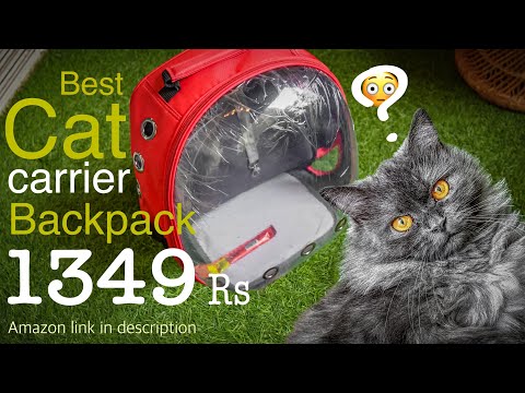 Perfect Cat Carrier Backpack | best travel bag / crate for pets | pets backpack | Buraq Capsule bag