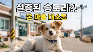 우연한 알고리즘에 감동받고 오이갤분들도 같이 뭉클해지시라고