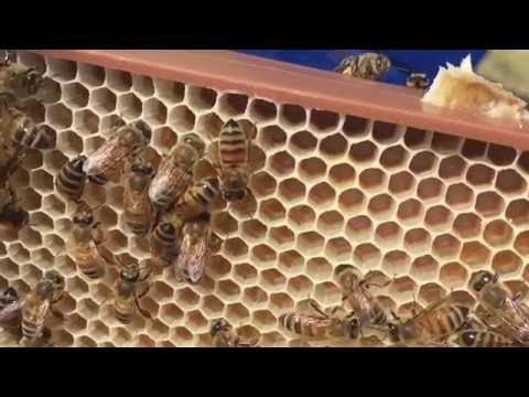 Utbyggnad av plastramar slowmotion