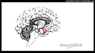 Amygdala - Meat Is Murder (The Smiths Cover)