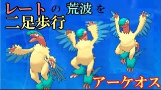 【ﾑﾁﾑﾁアーケオス】信号カラーポケ統一で実況ポケレポPART33【ポケモンORAS】