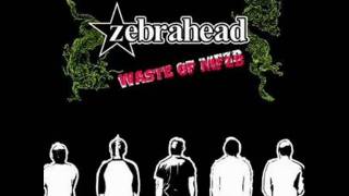 08-zebrahead-one_shot-sdr
