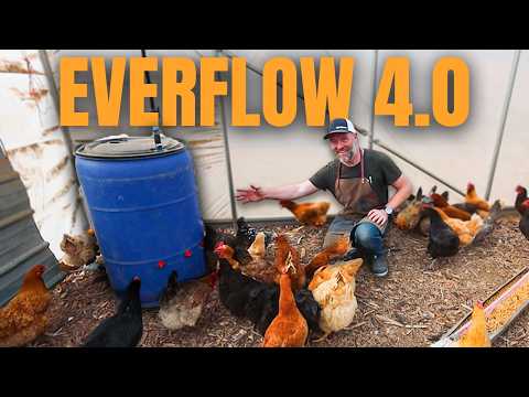 Auto Chicken Waterer: Freeze-Proof & Always Clean!