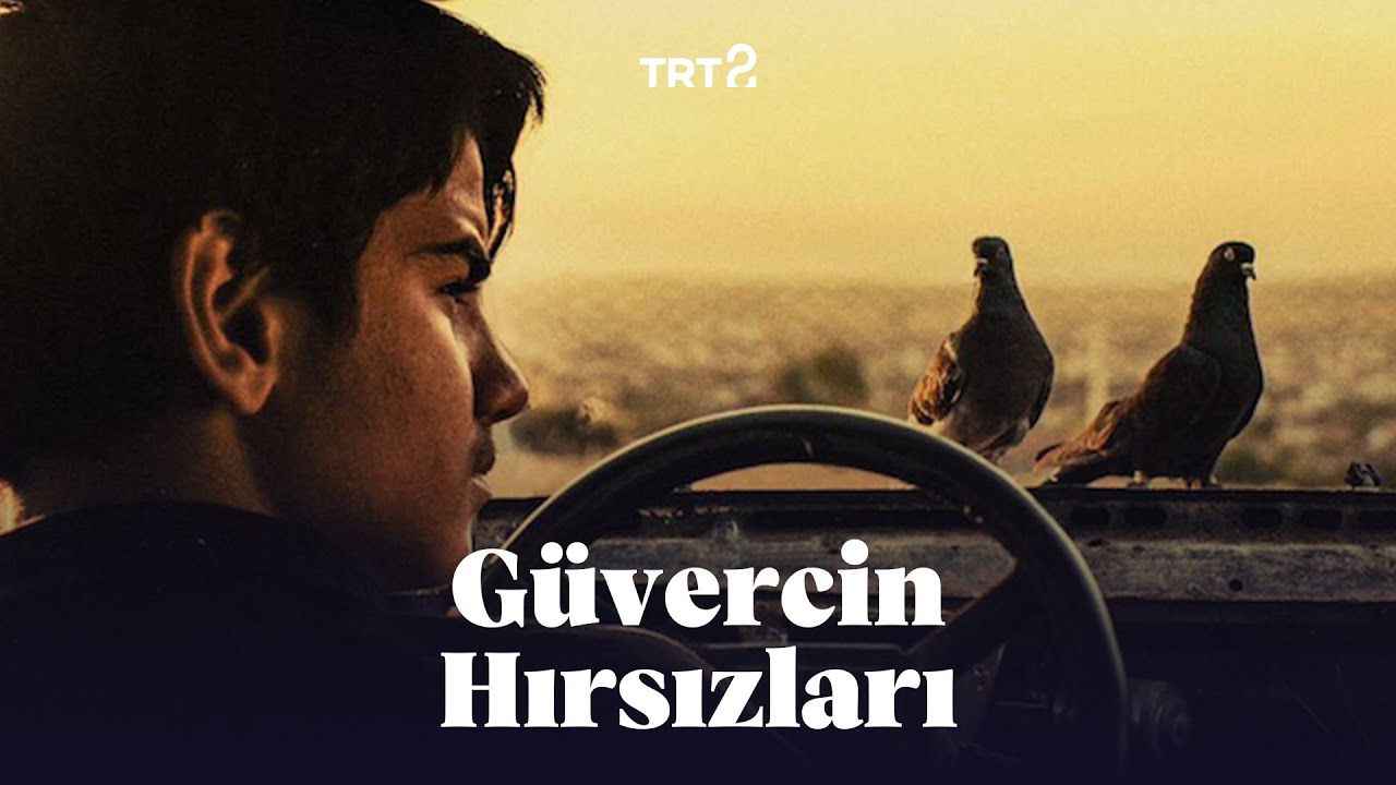 Güvercin Terbiyecisi Hammal — Official Trailer