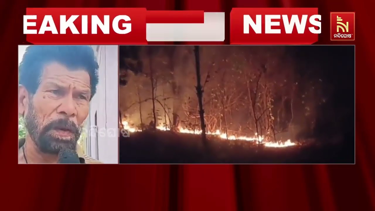 ନିଆଁକୁ ଆୟତ୍ତ କରିବା ପାଇଁ ନାକେଦମ ବନବିଭାଗ । ଦଶପଲ୍ଲା ବନା