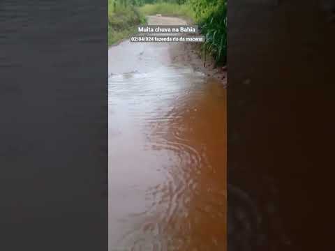 chuva de 125 milímetros em Jurema região de licinio de Almeida