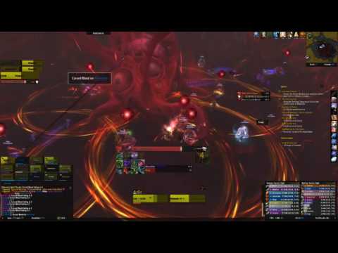 Il'gynoth HC - Foxy Fighters