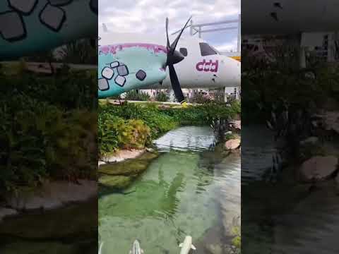 Simolândia em Goiás