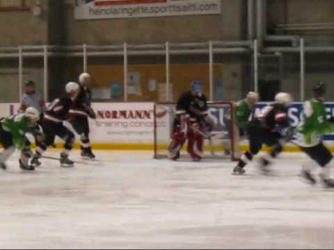 Peltosaaren Nikkarit 2008 - 2009