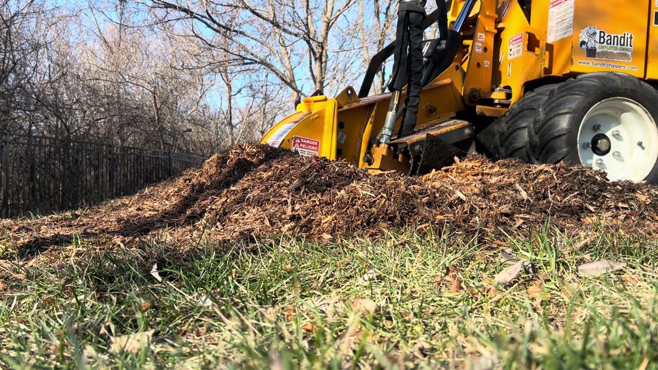 Big Stump Removal in Kansas City