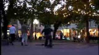 the rodney mullen show