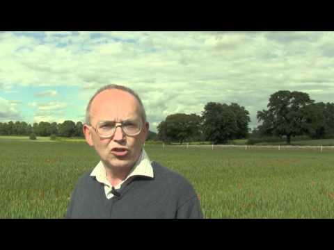 Controlling blackgrass - the options