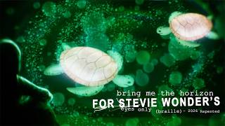 Cover art for For Stevie Wonder's Eyes Only