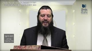 הדף היומי מסכת חגיגה דף כו