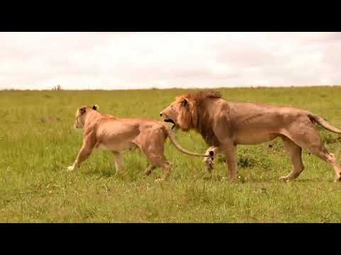 Beautiful scenery Masai Mara